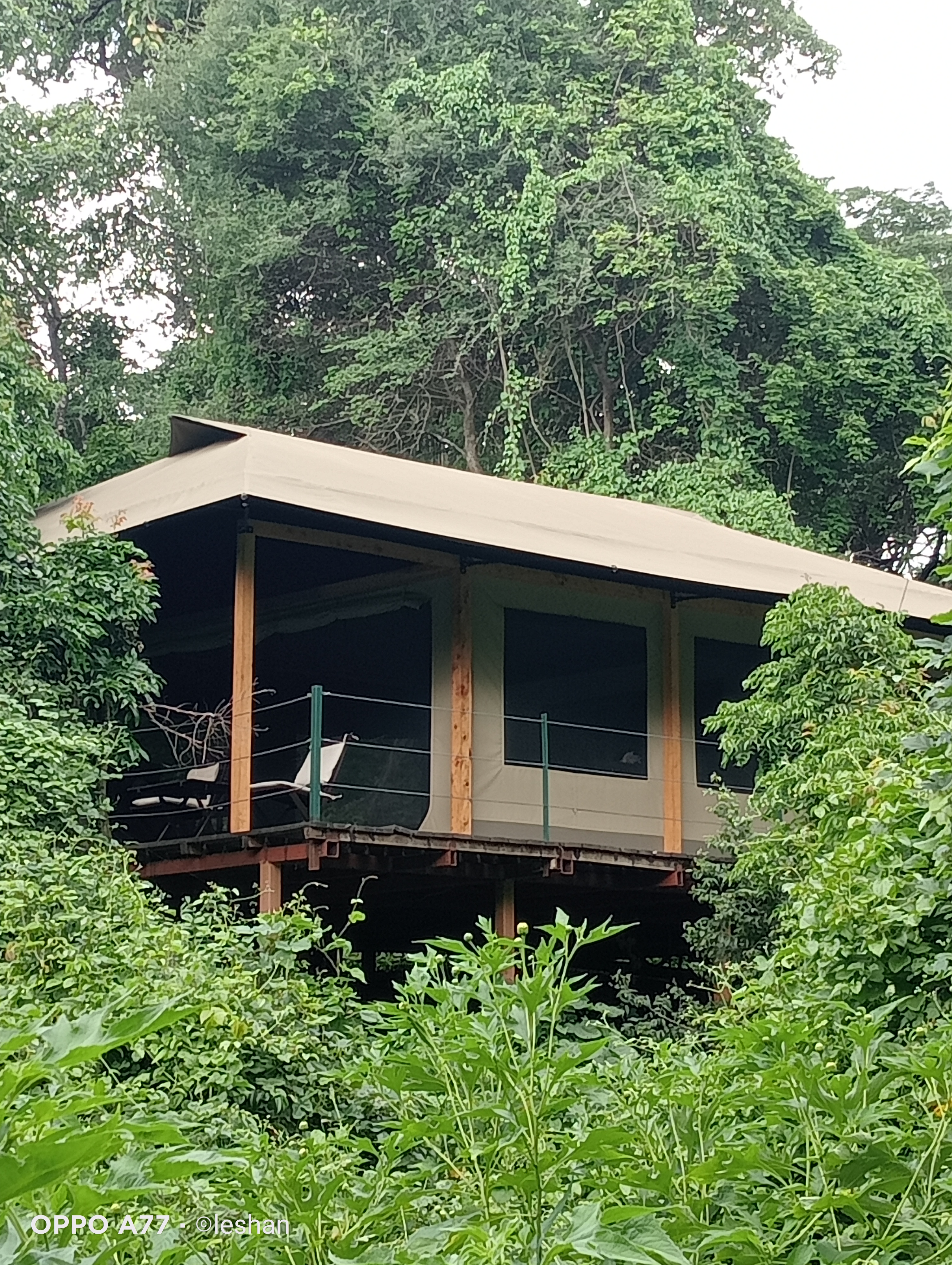 Tented camp sunrise view